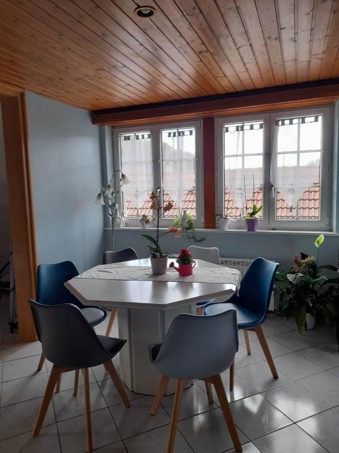 Gite Le Jardin De Hermolsheim. Alsace Tres Spacieux Mutzig Exterior foto