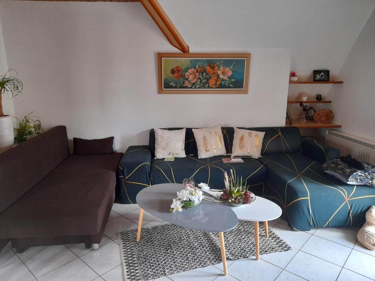 Gite Le Jardin De Hermolsheim. Alsace Tres Spacieux Mutzig Exterior foto